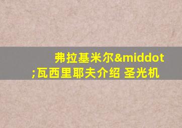 弗拉基米尔·瓦西里耶夫介绍 圣光机